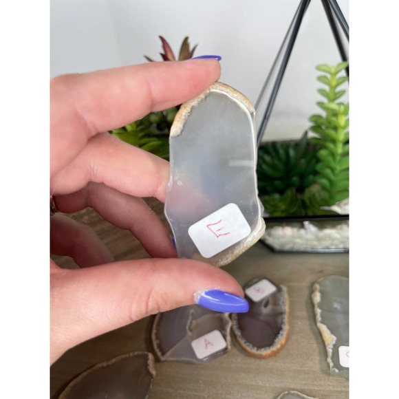 Agate Slices Polished Crystal E and F - Picture 3 of 5